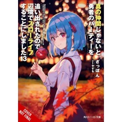 Banished from the Hero's Party, I Decided to Live a Quiet Life in the Countryside, Vol. 13 (light novel)