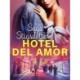 Hotel del amor