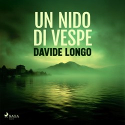Un nido di vespe: Indagine tra Varese e il Lago Maggiore