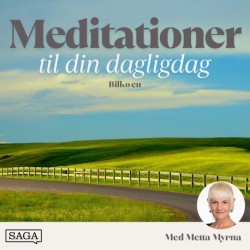 Meditation i bilkøen - 15 minutters guidet meditation