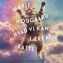 Hvad vi kan lære af katte