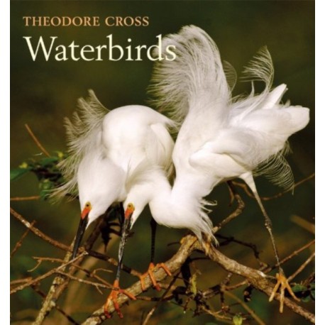 Waterbirds
