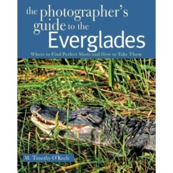 The Photographer's Guide to the Everglades: Where to Find Perfect Shots and How to Take Them