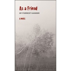 As a Friend: A Novel