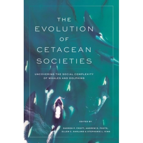 The Evolution of Cetacean Societies: Uncovering the Social Complexity of Whales and Dolphins