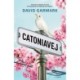 Catoniavej