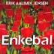 Enkebal: roman