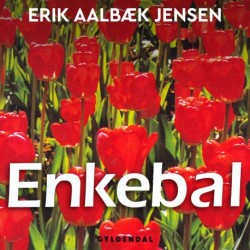 Enkebal: roman