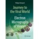 Journey to the Viral World: Electron Micrographs of Viruses