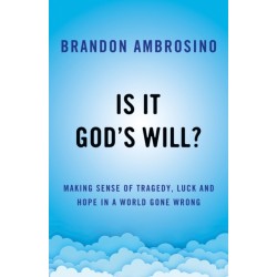 Is It God's Will?: Making Sense of Tragedy, Luck, and Hope in a World Gone Wrong