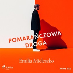 Pomarańczowa droga