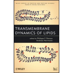 Transmembrane Dynamics of Lipids