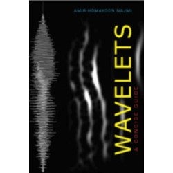 Wavelets: A Concise Guide