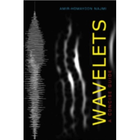 Wavelets: A Concise Guide