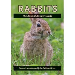Rabbits: The Animal Answer Guide