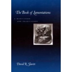 The Book of Lamentations: A Meditation and Translation