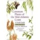 Common Plants of the Mid-Atlantic Coast: A Field Guide