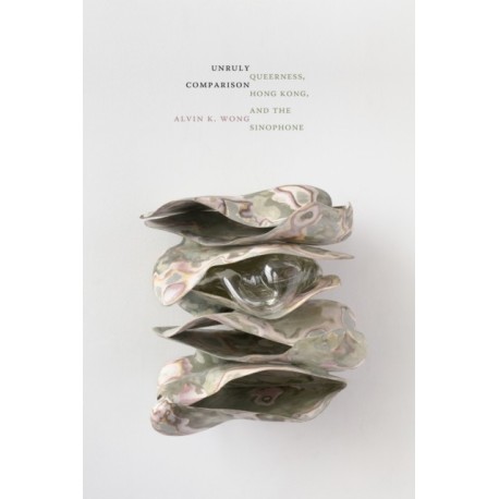 Unruly Comparison: Queerness, Hong Kong, and the Sinophone