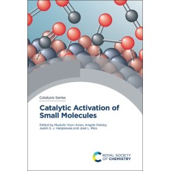 Catalytic Activation of Small Molecules