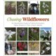 Chasing Wildflowers: An Adventurous Guide to Finding Minnesota's Native Flowers in Their Unique Habitats