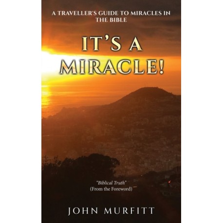 It's a Miracle!: A Traveller's Guide to Miracles in the Bible