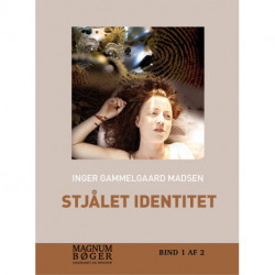 Stjålet identitet