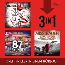 Rot wie Blut, Kalt wie Schnee, 87 Sekunden & Misstrauen - Schatten der Vergangenheit