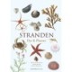 Stranden: Dyr & Planter