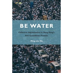 Be Water: Collective Improvisation in Hong Kong's Anti-Extradition Protests