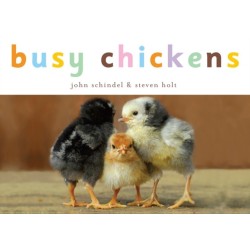 Busy Chickens