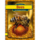 Bees