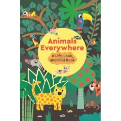 Animals Everywhere: A Lift, Look, and Find Book