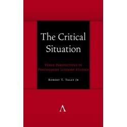 The Critical Situation: Vexed Perspectives in Postmodern Literary Studies