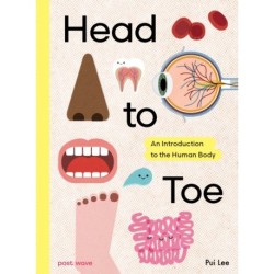 Head to Toe: An Introduction to the Human Body