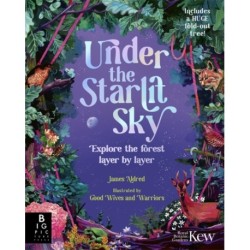 Under the Starlit Sky: Explore the Forest Layer By Layer