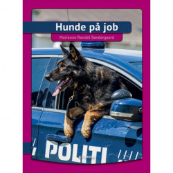 Hunde på job