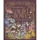 The Way of the Wildflower: Gospel Meditations to Unburden Your Anxious Soul – The Perfect Christian Devotional Christmas Gift for Women