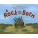 A Rock Is Born: An Epic Journey Through Time