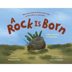 A Rock Is Born: An Epic Journey Through Time