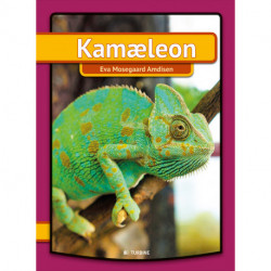 Kamæleon