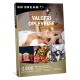 Go Dream: Valgfri Oplevelse 499,-