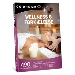 Go Dream: Wellness & forkælelse