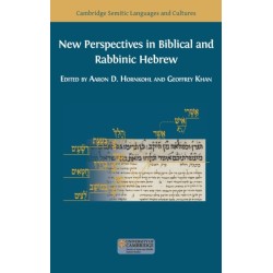 New Perspectives in Biblical and Rabbinic Hebrew