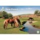 New Forest A4 Calendar 2026