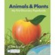 Animals and Plants