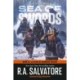 Sea of Swords: Dungeons & Dragons: Book 3 of the Paths of Darkness Trilogy