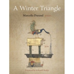 A Winter Triangle