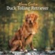 Nova Scotia Duck Tolling Retriever Squar