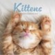 Kittens Square Mini Sunday Start Calenda