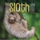 Sloths Square Wall Sunday Start Calendar